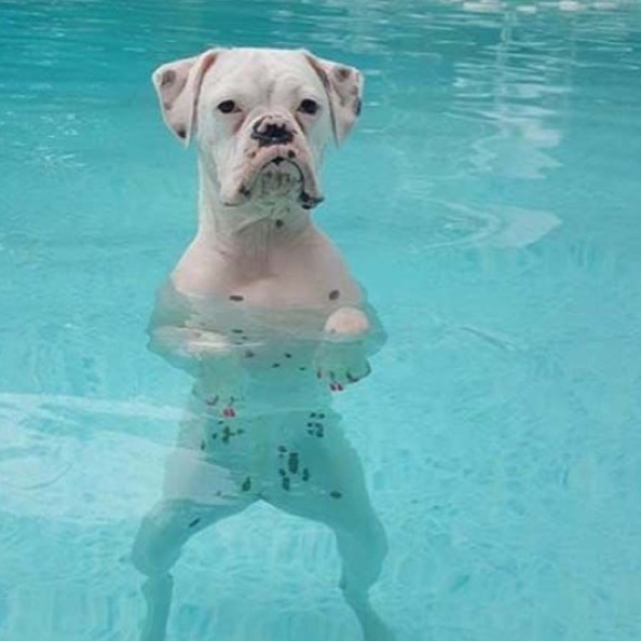 Meet your Posher, Mckaylee - Picture 1 of 1